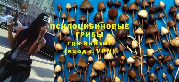 Альфа ПВП Алексин