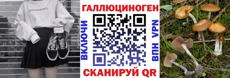 Псилоцибиновые грибы Psilocybine cubensis  Снежногорск 